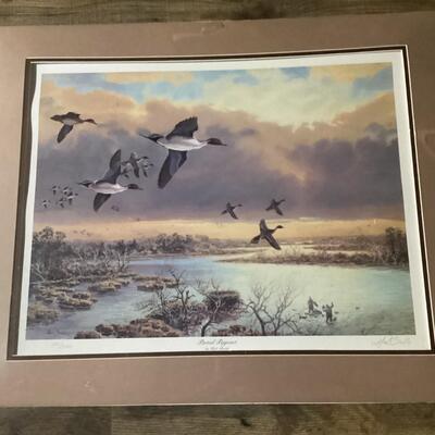 Pintail Pageant by Herb Booth