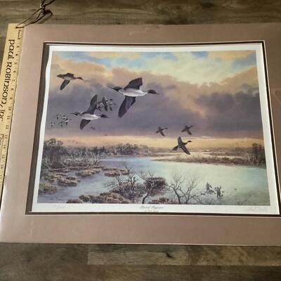 Pintail Pageant by Herb Booth