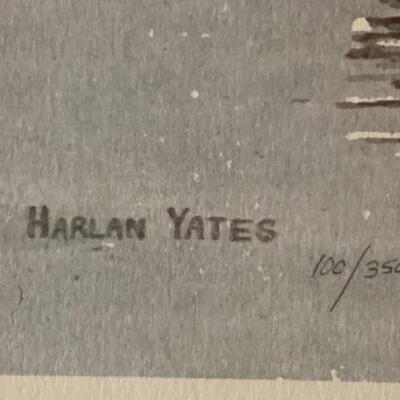 High Rise Honkers from Dr. Meyers private collection
