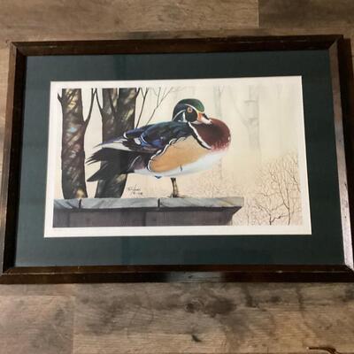 Duck Print