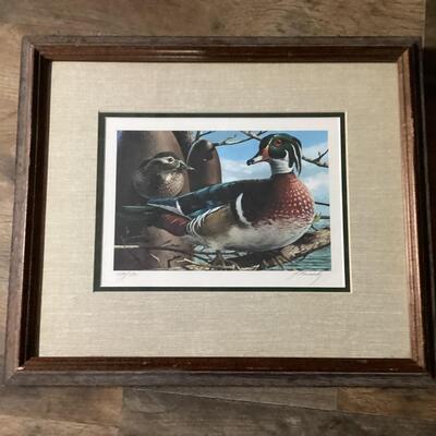 Duck print