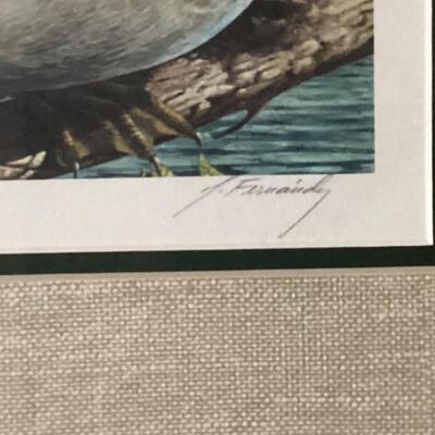 Duck print