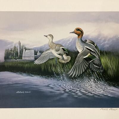Set of 5 matted duck prints