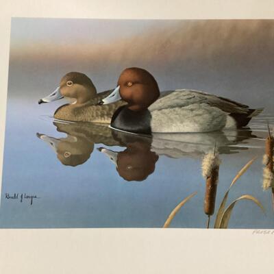 Set of 5 matted duck prints