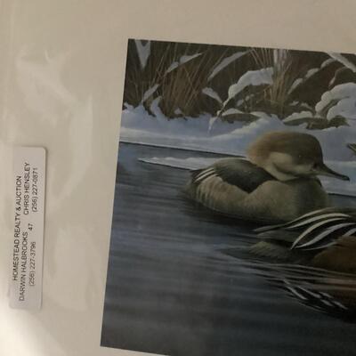 Set of 5 matted duck prints
