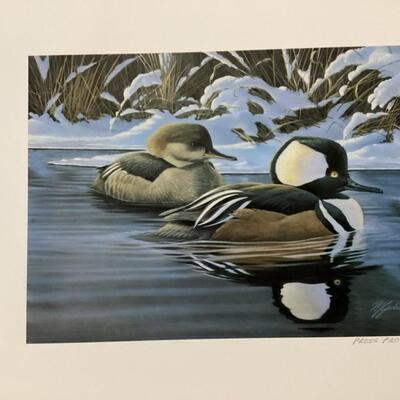 Set of 5 matted duck prints