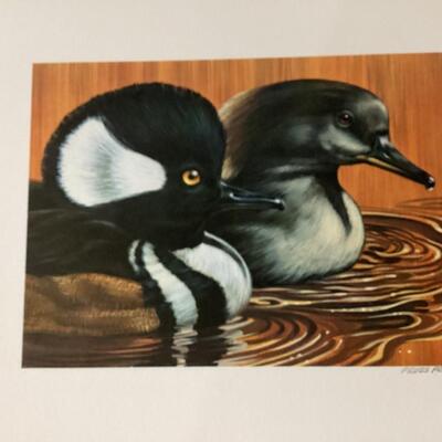 Set of 5 matted duck prints