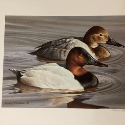 Set of 5 matted duck prints