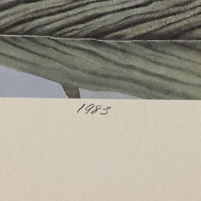 1984 Maryland Waterfowl stamp and print