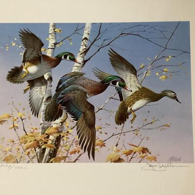 1986 Vermont Migratory Bird stamp and print