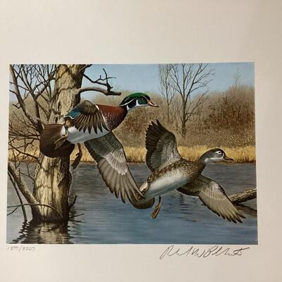 1983 New Hampshire  Duck Stamp and Print