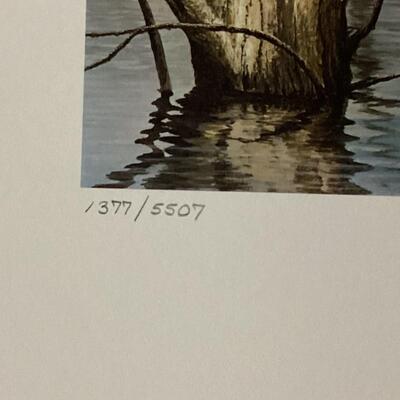 1983 New Hampshire  Duck Stamp and Print
