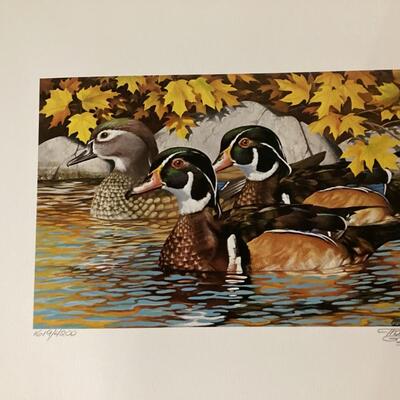 1984 Minnesota Waterfowl Stamp and Print