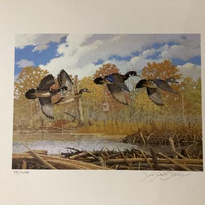 1987 New York Migratory Bird Conservatory stamp and print