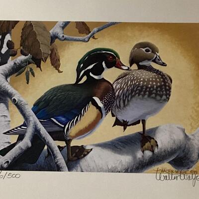 1970 California Duck stamps and print