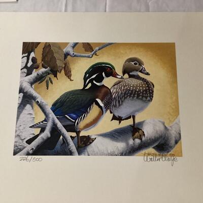 1970 California Duck stamps and print