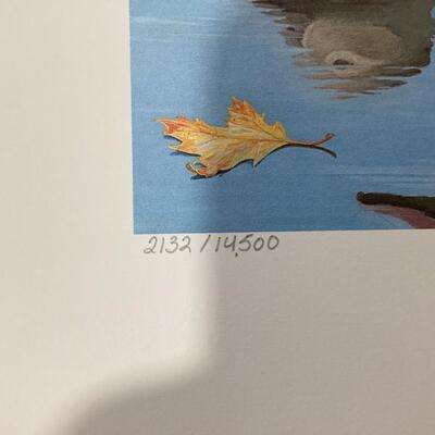 1994 Virginia Waterfowl Stamp and Print