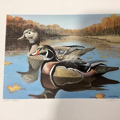 1994 Virginia Waterfowl Stamp and Print