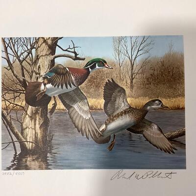 1983 New Hampshire Duck Stamp and print