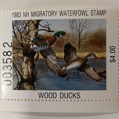 1983 New Hampshire Duck Stamp and print