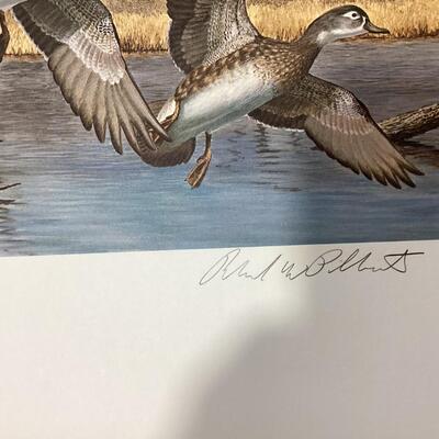 1983 New Hampshire Duck Stamp and print