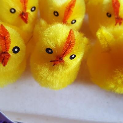 Box of Fuzzy Chicks