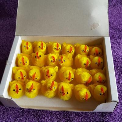 Box of Fuzzy Chicks