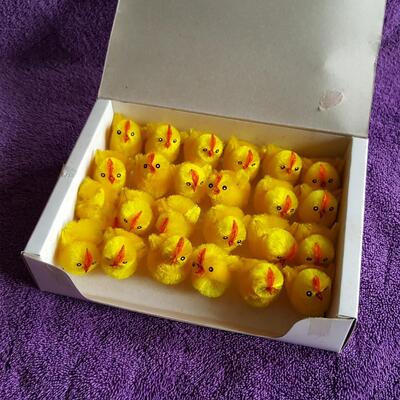 Box of Fuzzy Chicks