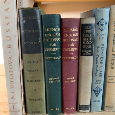 Lot 218  Collection of Books on Foreign Language