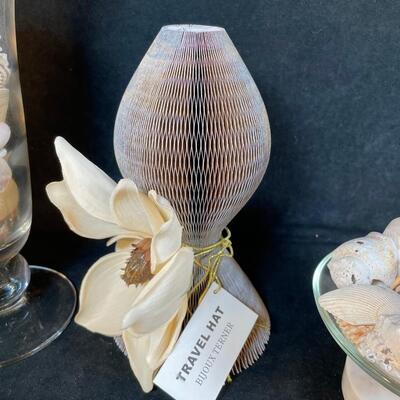 Lot 255. Sea Shell Assortment
