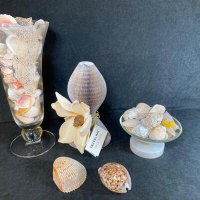 Lot 255. Sea Shell Assortment