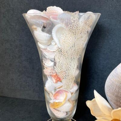 Lot 255. Sea Shell Assortment