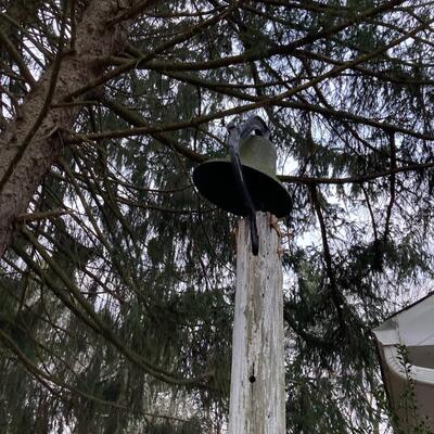 Large Antique School Bell