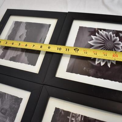 4 Black & White Prints w/Black Frames, Mountains, Flower, Bridge & Sculpture