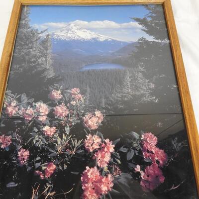 Wall Decor: 18"x24" Painting, Foil Print, Mountain Scene-Framed Print