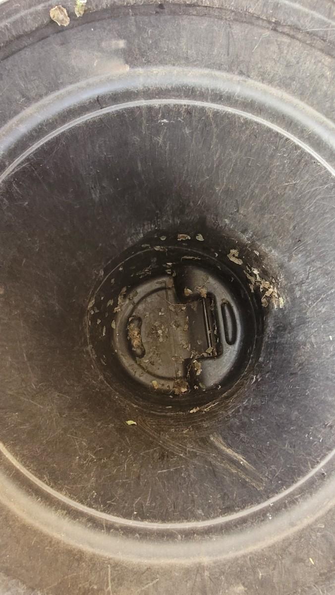 Lot 220 (2) Outdoor GOTT Trash Cans on Wheels