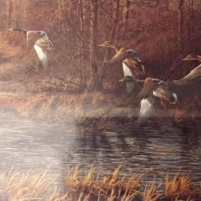 Terry Redlin - Apple River Mallards
