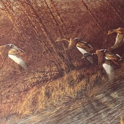 Terry Redlin - Apple River Mallards