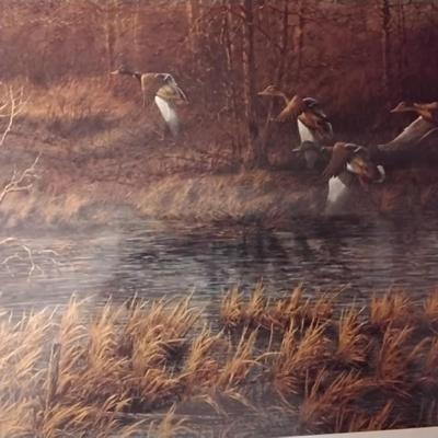 Terry Redlin - Apple River Mallards