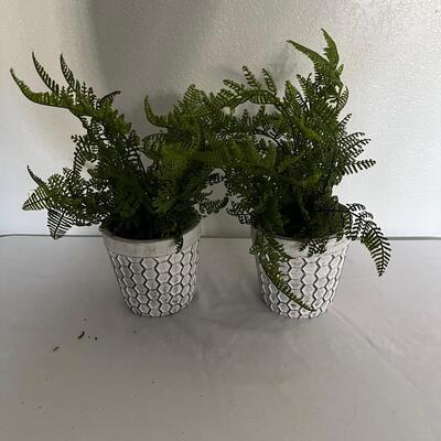 Rustic Framed Photo & Faux Ferns (G-MG)