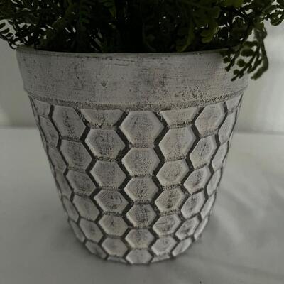 Rustic Framed Photo & Faux Ferns (G-MG)