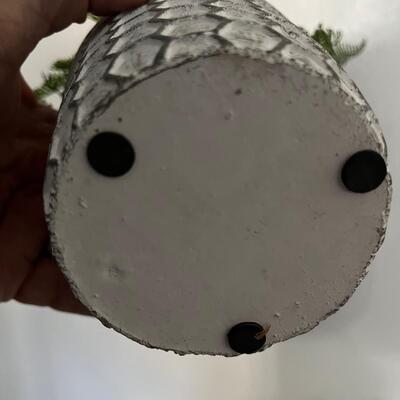 Rustic Framed Photo & Faux Ferns (G-MG)