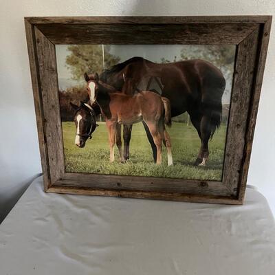Rustic Framed Photo & Faux Ferns (G-MG)