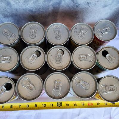 15pc VINTAGE BEER CAN COLLECTION #24