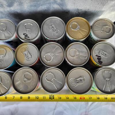 15pc VINTAGE PLACES BEER CAN COLLECTION #38