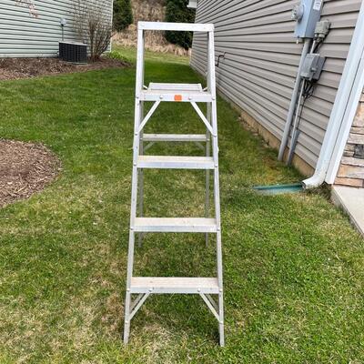 Two Step Ladders (G-MG)