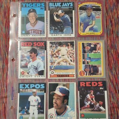 BASEBALL CARDS IN SLEEVE LOT #7