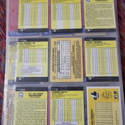 BASEBALL CARDS IN SLEEVE LOT #8