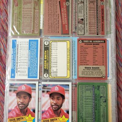 BASEBALL CARDS IN SLEEVE LOT #9