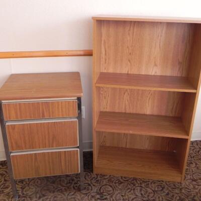 LOT 62N BOOKSHELF AND METAL FILE CABINET